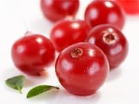 el arándano rojo o cranberry